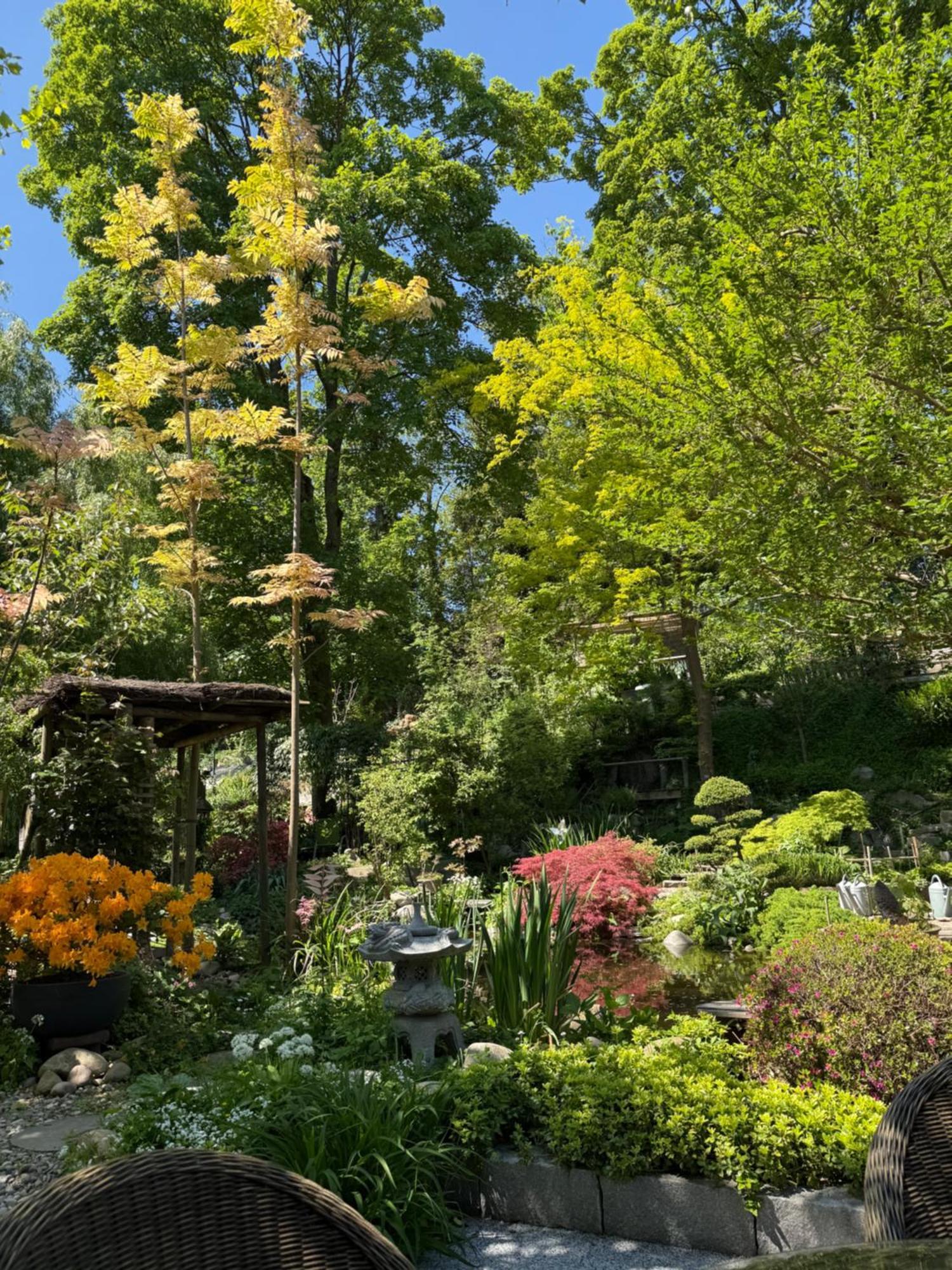 Le Jardin De La Tuilerie Alsace Hotel Pfastatt Exterior foto