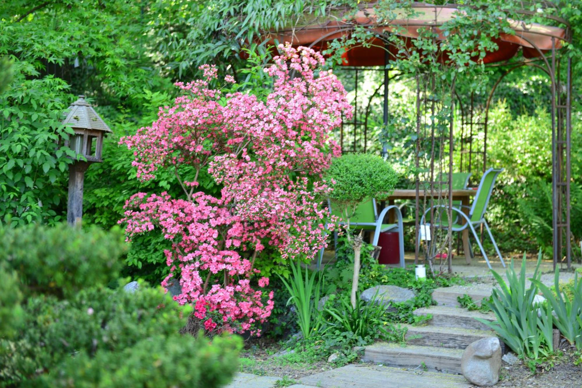 Le Jardin De La Tuilerie Alsace Hotel Pfastatt Exterior foto